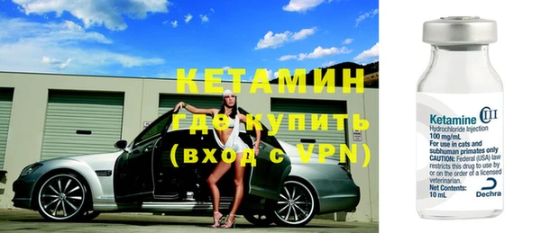 сатива Ачинск