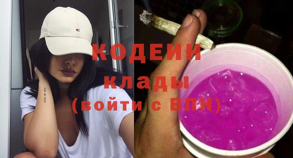 гидра Надым