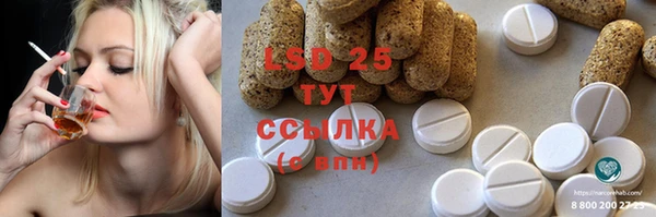 гидра Надым