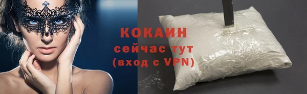 гидра Надым