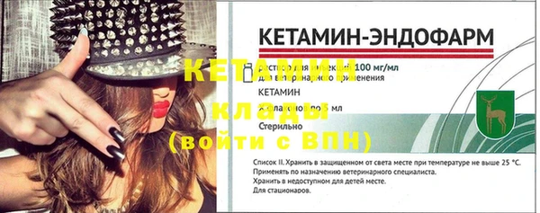 гидра Надым