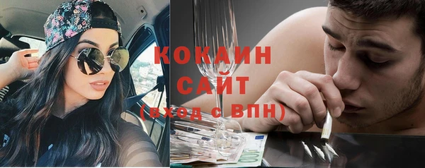 гидра Надым