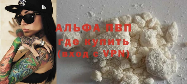 гидра Надым