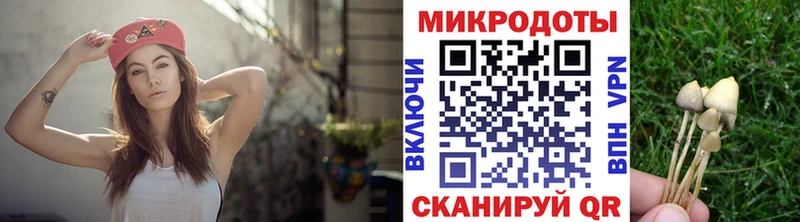 Галлюциногенные грибы GOLDEN TEACHER  Рославль 